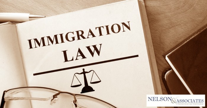 Immigration lawyer