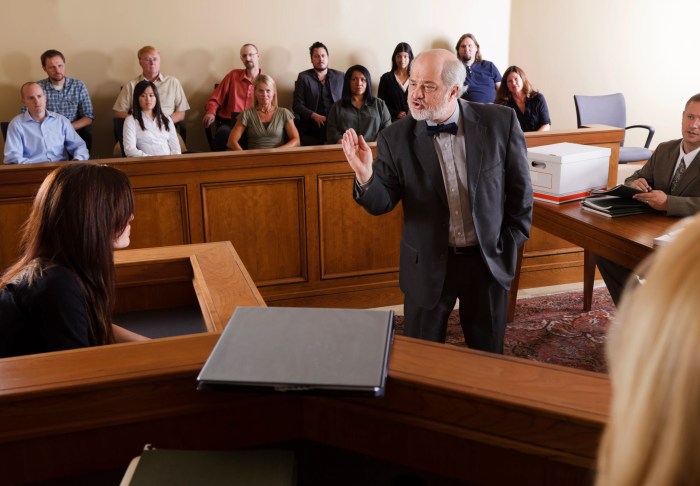 Criminal defense lawyers types law different