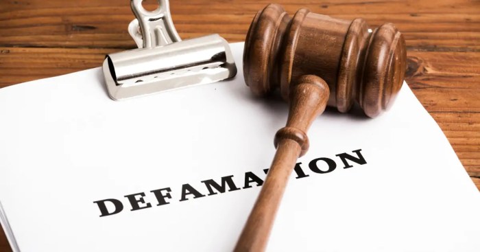 Defamation cyber laws law against india damages slander libel ireland bariatric doctors alleging fellow fir harassment lodges extortion surgeon association