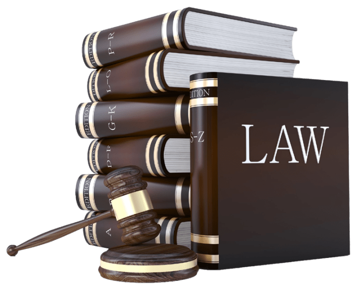 What are the legal insurance resources for self-help legal representation