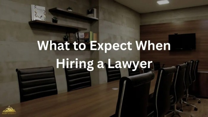 What are the drawbacks of hiring a lawyer