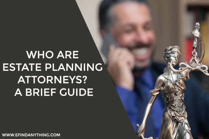 Estate planning lawyer importance