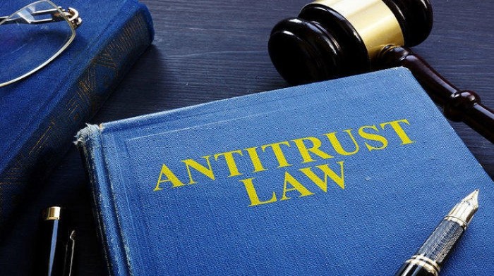 Antitrust law brace