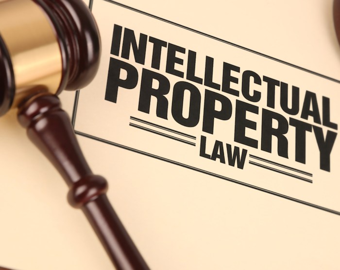 Intellectual rights protect