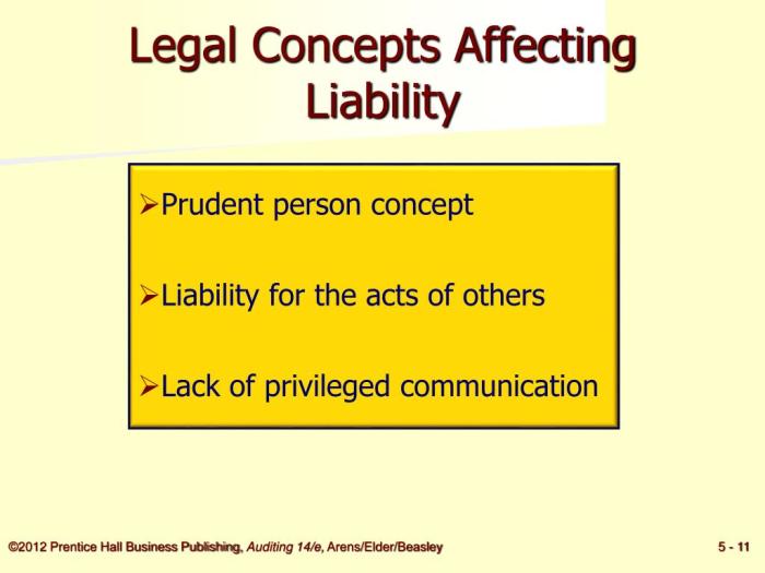 What are the liability resources for self-help legal representation