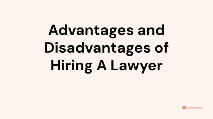 What are the drawbacks of hiring a lawyer