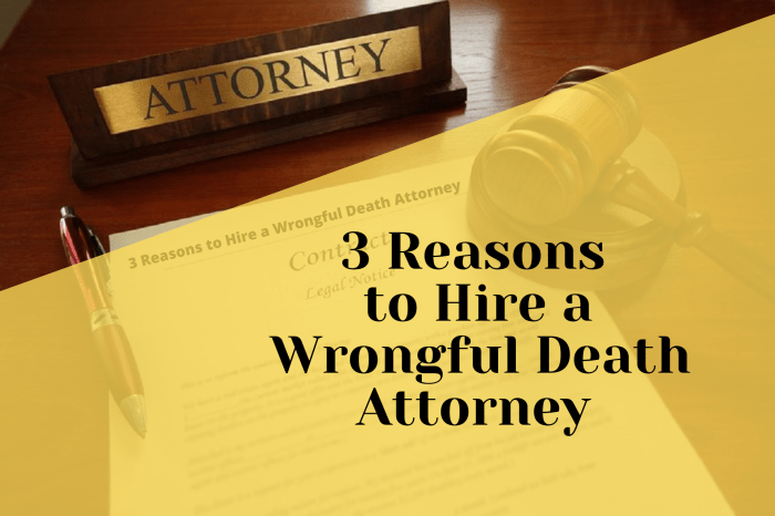 Wrongful lawyer